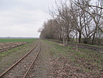 IMG_8707