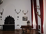 IMG_9119