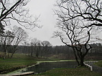 IMG_9156
