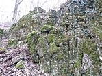 P3194934