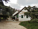DSC00861