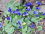 DSC00868