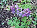 DSC00874
