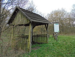 DSC00876