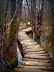 gcrvkt-IMG_5696