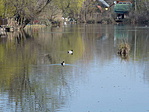 P1340739