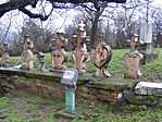 DSCF5845