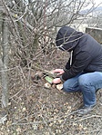 IMG-20160214-WA0000