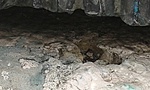 20160320_112522