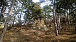 WP_20160305_010