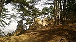 WP_20160305_011