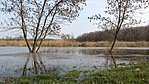20160304_111047