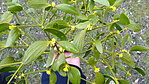 DSC05507