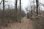 IMG_0886