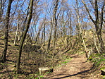 IMG_0400