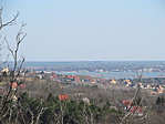 IMG_0418