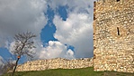 WP_20160327_11_07_27_Pro