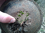 20160312_132700