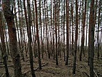 IMG_20160326_111256