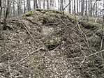 IMG_20160326_105208