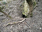 IMG_20160326_104344