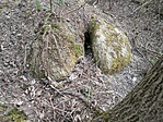 IMG_20160326_104308