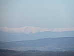 IMG_2545