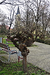 DSC01292