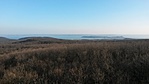 20160314_163119