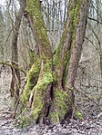 Geocaching175 (3)