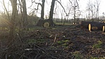 20160320_164959