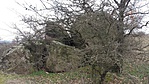 20160313_152721