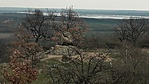 20160313_152924