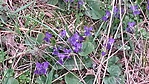 20160313_155417