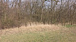 20160328_153929