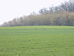DSCN0799