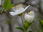 DSCN0820