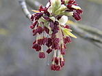 DSCN0835