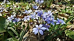 20160314_142739_Richtone(HDR)