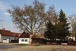DSC_0687_tn