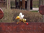 P1510926