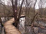 P1510951