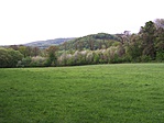 Körtvélyes