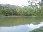 Tóbarát Sikonda (4)