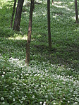 túra 008