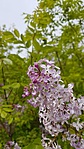2016-04-23 10.40.41R