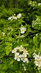 2016-04-23 10.45.31R