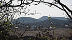 SAM_3341R