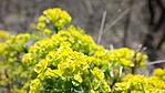 SAM_3346R