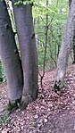 20160407_175116